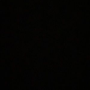 Meet your Posher, Payton